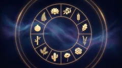 Din perfekta krukväxt baserat på ditt stjärntecken