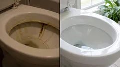 Så bleker du en gammal toalett: beprövade tips för hemmabruk