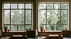 Hur man rengör fönster som ett proffs: en steg-för-steg-guide