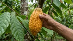 Forskarnas upptäckt: denna produkt är kopplad till långsammare åldrande