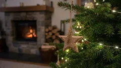 Se till att din julgran inte dör i förtid med dessa enkla experttips