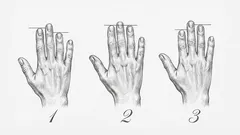 Personlighetstest: Din fingerlängd avslöjar dessa personlighetsdrag